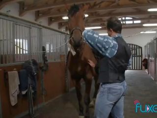 Tera joie chevauchée cheval sur ferme